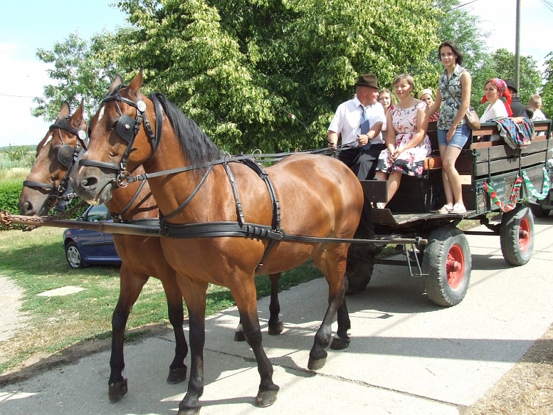 DSCF9957 (Medium).JPG